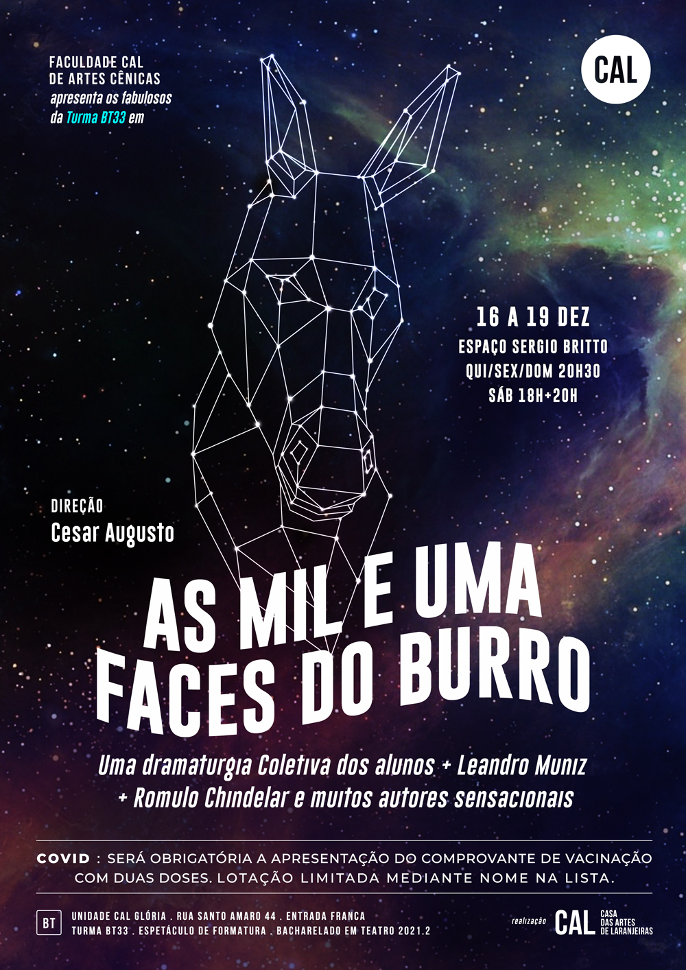 AS MIL E UMA FACES DO BURRO